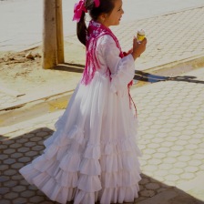 Flamenco chica